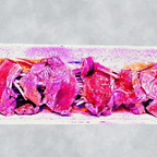 Best Beef tataki in West Chester Township, OH